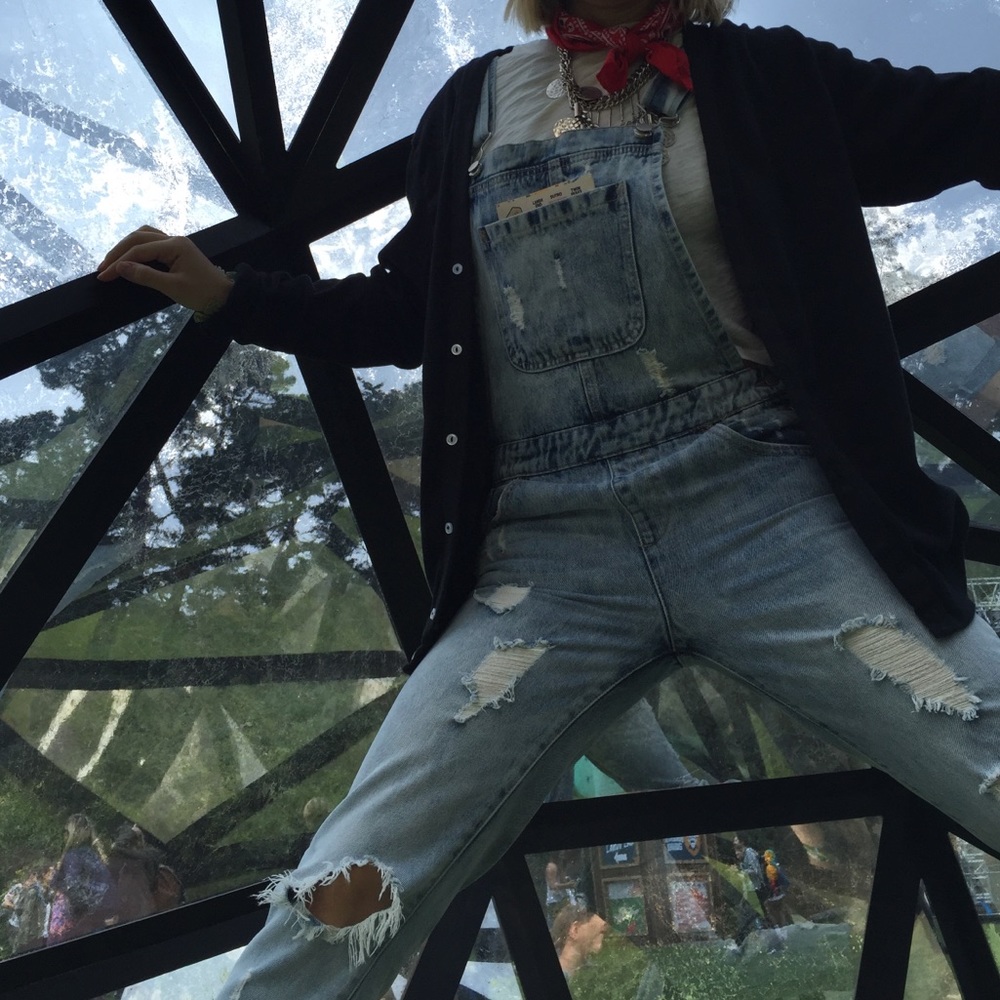 Distressed Overalls - Picture 7 of 7